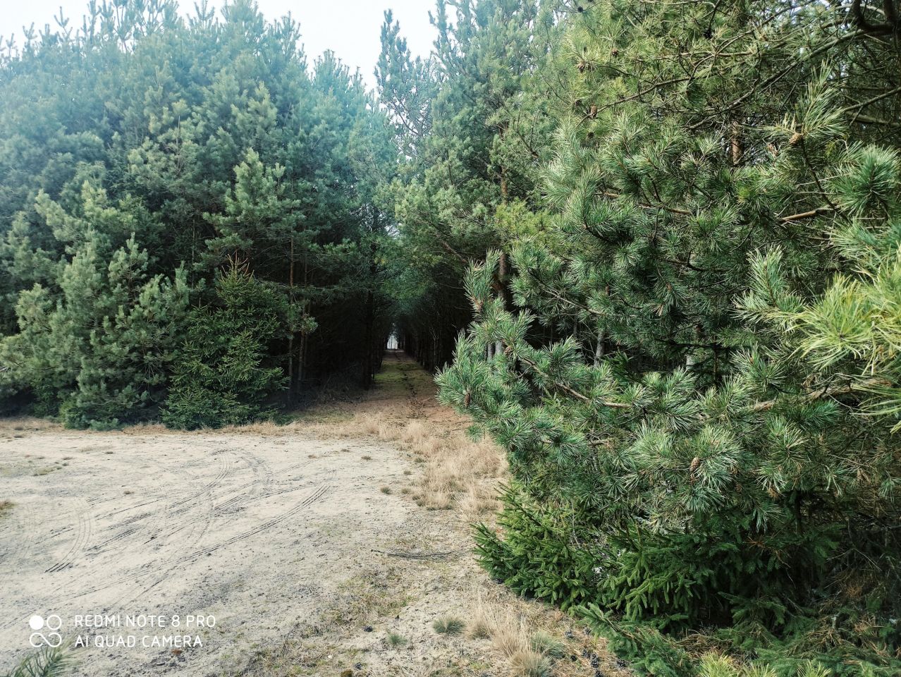 Działka inna Huta. Zdjęcie 9