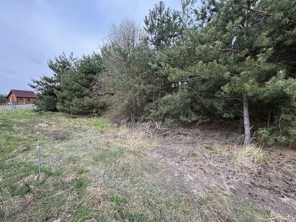 Działka rekreacyjna Trojaczek. Zdjęcie 8