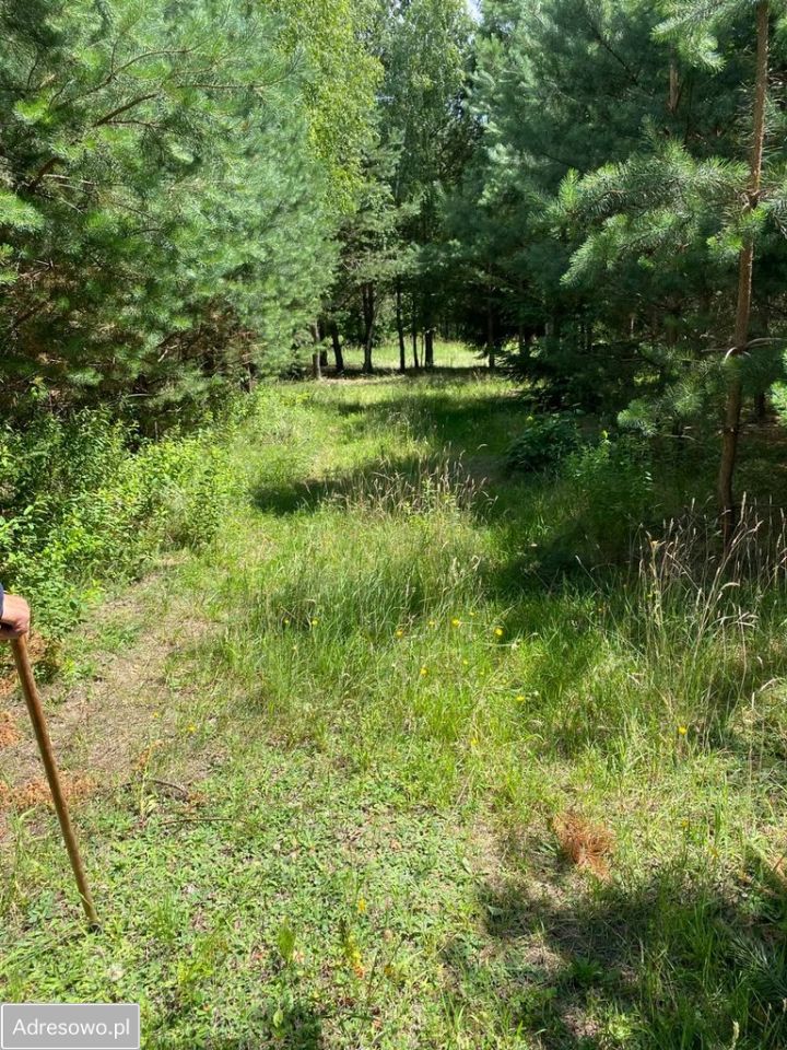 Działka budowlana Tleń. Zdjęcie 9
