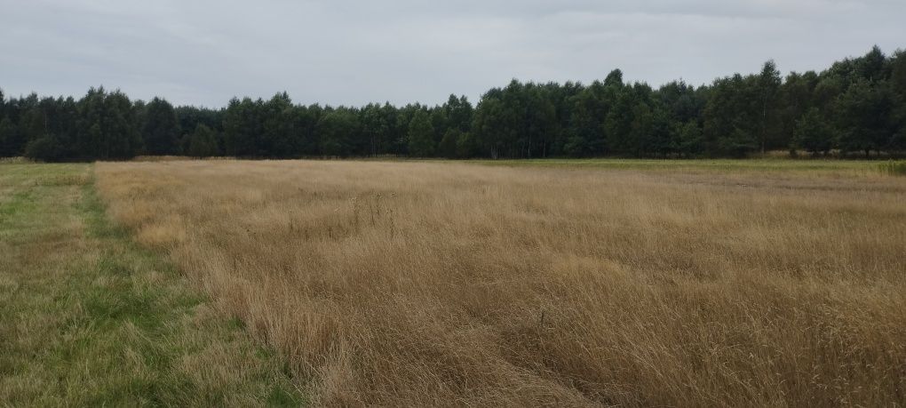 Działka rolna Karczewice