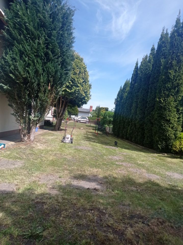 Działka rod Annowo. Zdjęcie 6