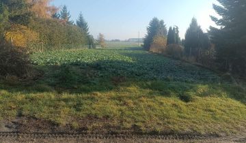 Działka rolna Mochle