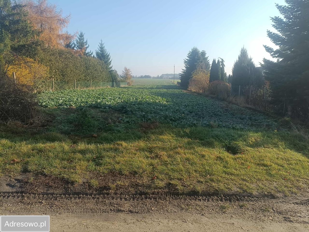 Działka rolna Mochle. Zdjęcie 2