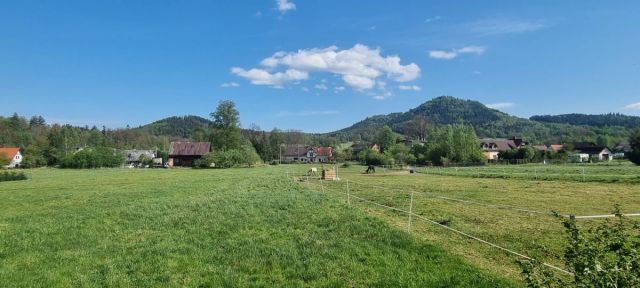 Działka inwestycyjna Karpniki. Zdjęcie 4