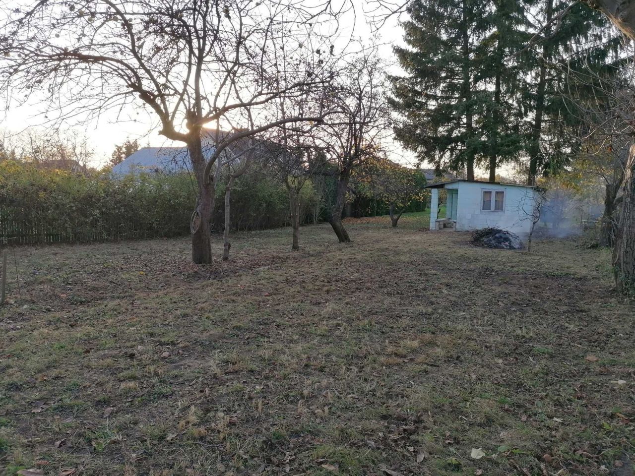 Działka rod Elizówka. Zdjęcie 4