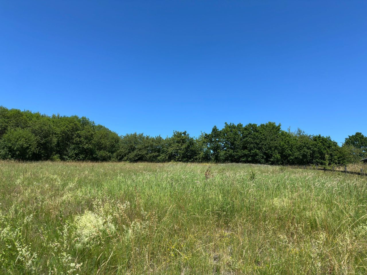 Działka budowlana Włodowice. Zdjęcie 3