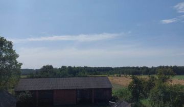 gospodarstwo, 3 pokoje Wilczanka