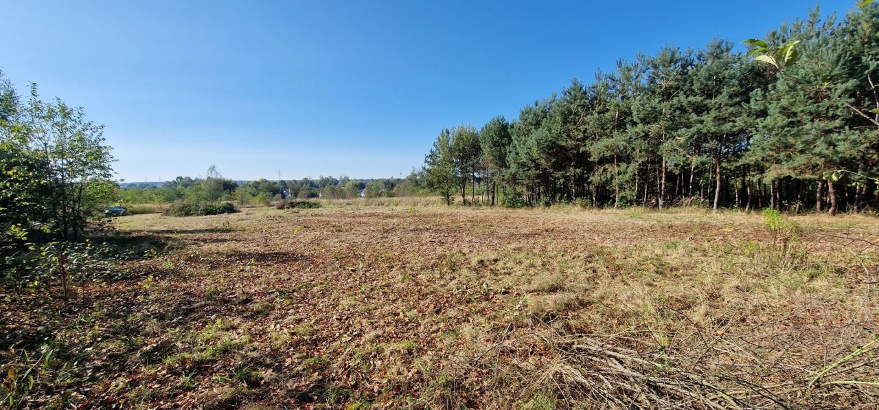 Działka budowlana Jędrzejów, ul. Akacjowa. Zdjęcie 5