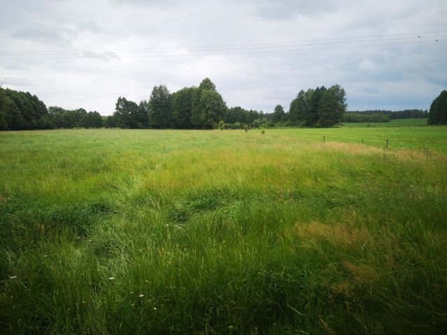 Działka rolno-budowlana Wola Dębska. Zdjęcie 1