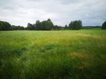 Działka rolno-budowlana Wola Dębska