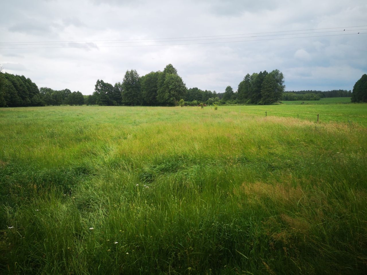 Działka rolno-budowlana Wola Dębska