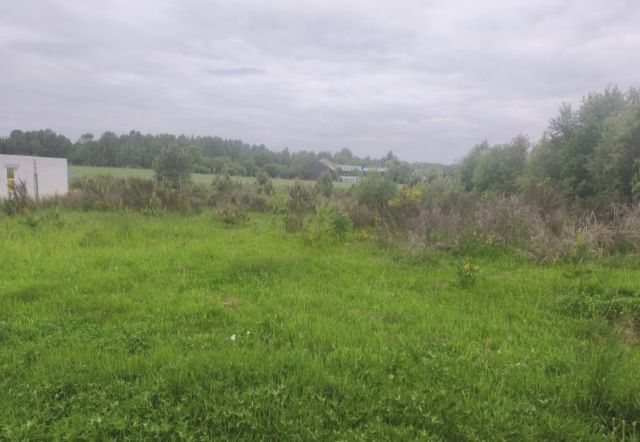 Działka budowlana Borzęcinko. Zdjęcie 1