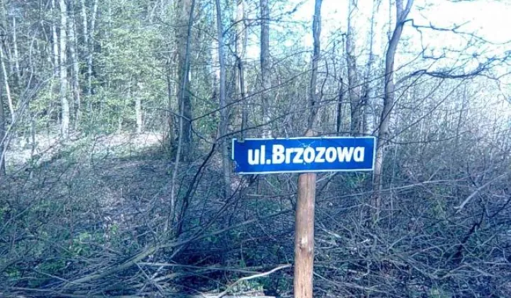 Działka leśna Sierzchów
