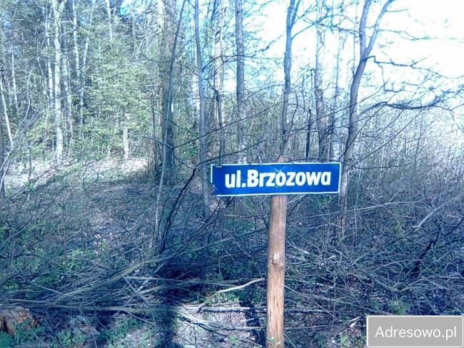 Działka leśna Sierzchów