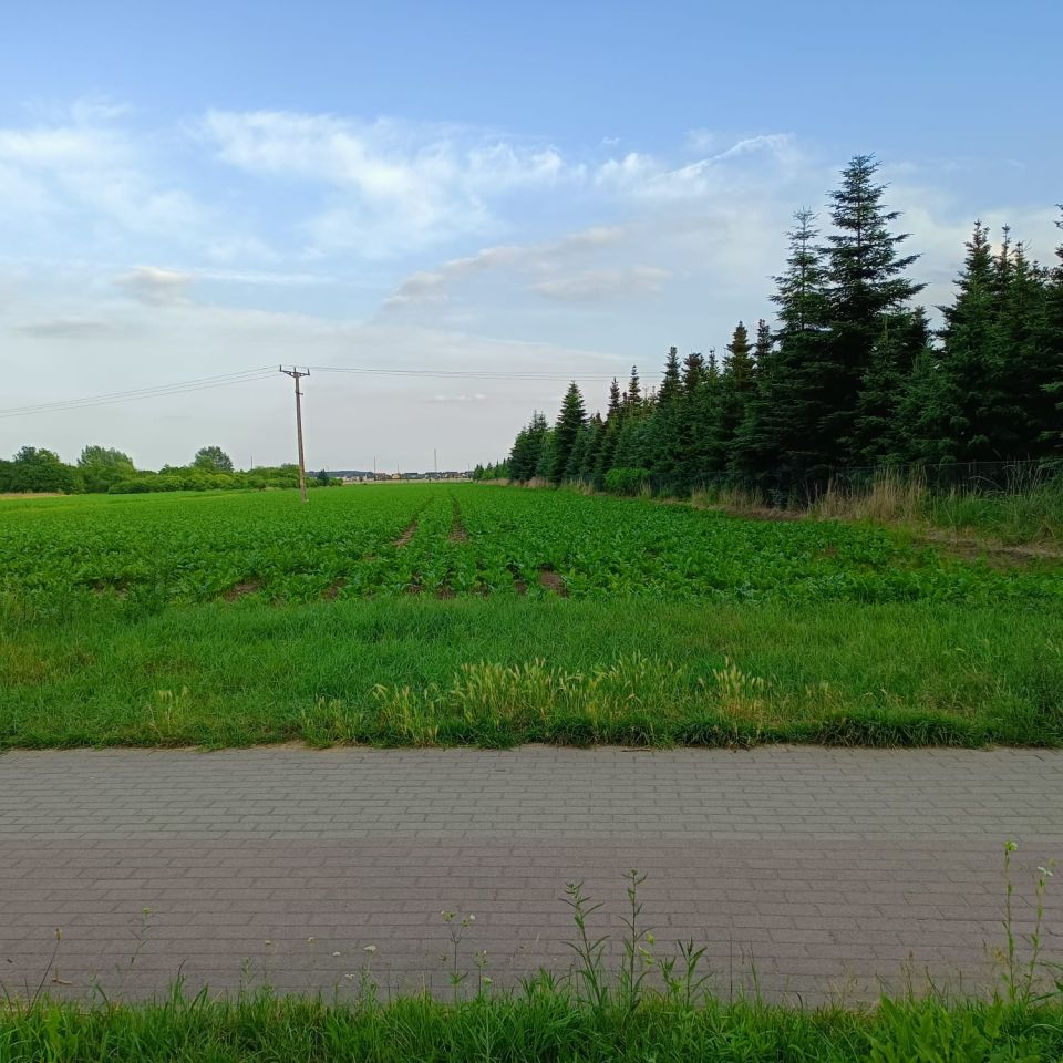 Działka budowlana Święta Katarzyna, ul. Główna. Zdjęcie 6