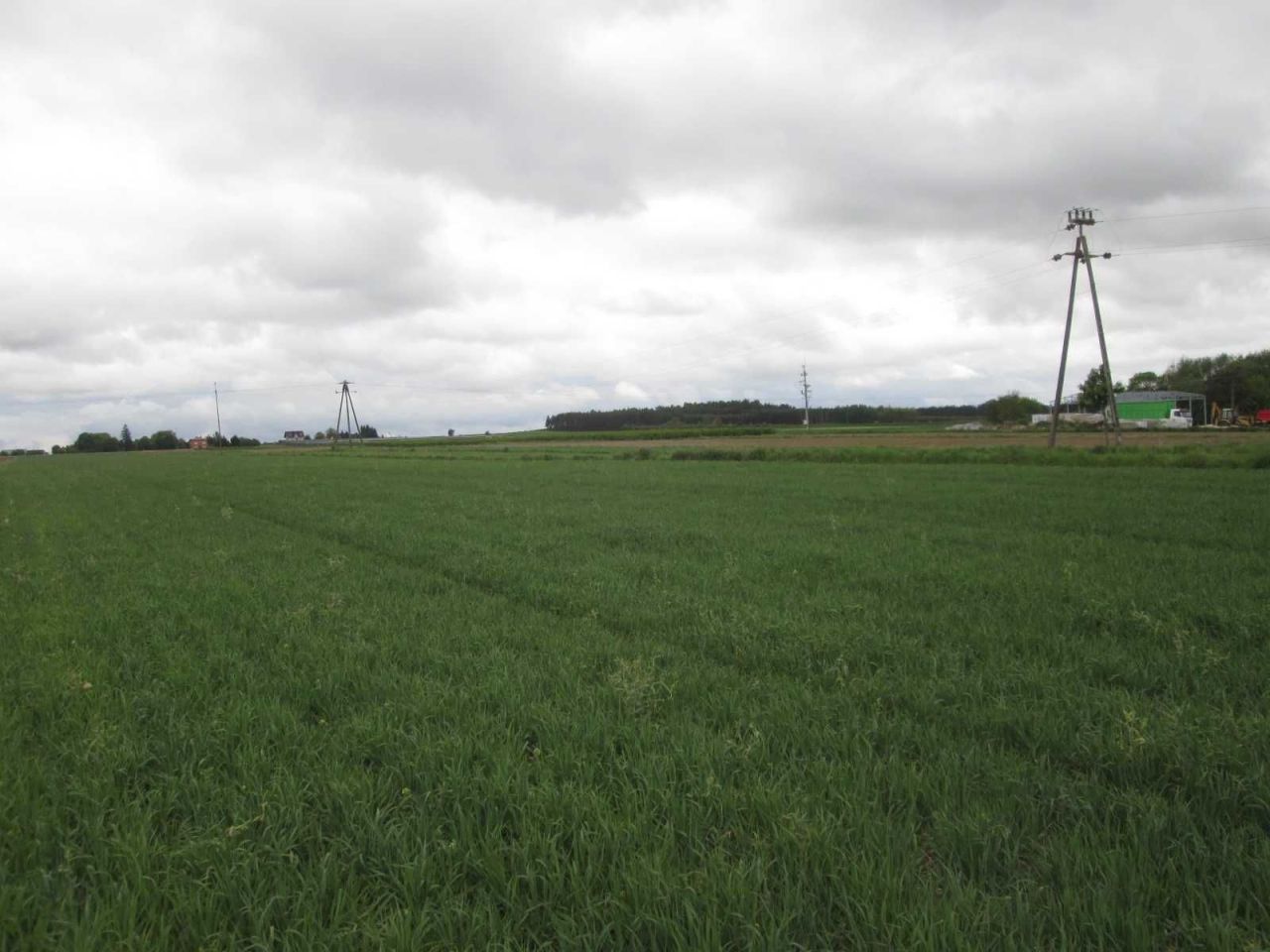 Działka rolna Krępa Górna. Zdjęcie 6