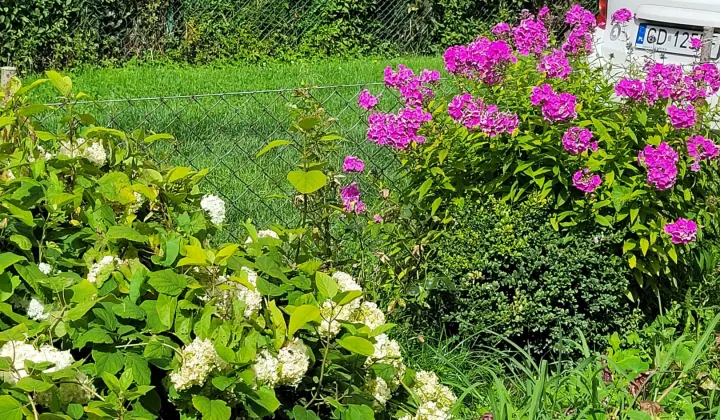 Działka rod Gdańsk Orunia, ul. Równa