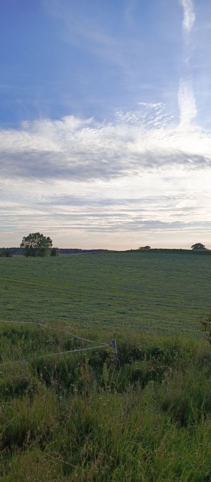 Działka rolna Paprotki. Zdjęcie 6