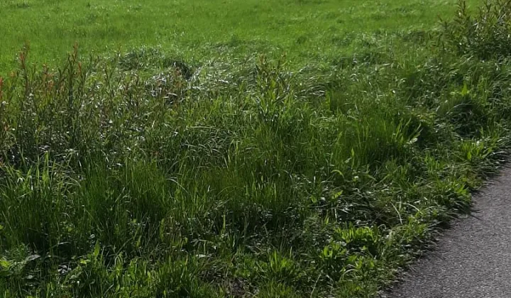 Działka budowlana Milówka, ul. Wczasowa