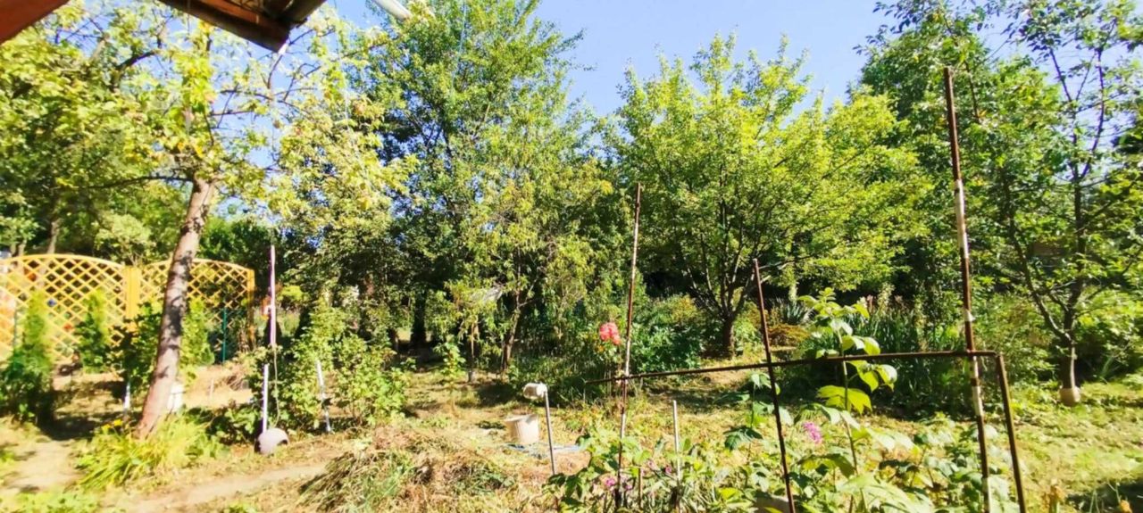 Działka rod Kraków Podgórze, ul. Golikówka. Zdjęcie 6