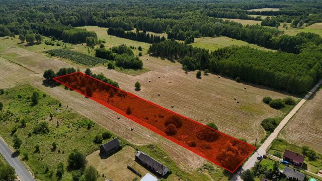Działka budowlana Białowieża, ul. Podolany Drugie. Zdjęcie 1
