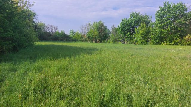 Działka budowlana Krasnystaw Góry, ul. Kickiego. Zdjęcie 1