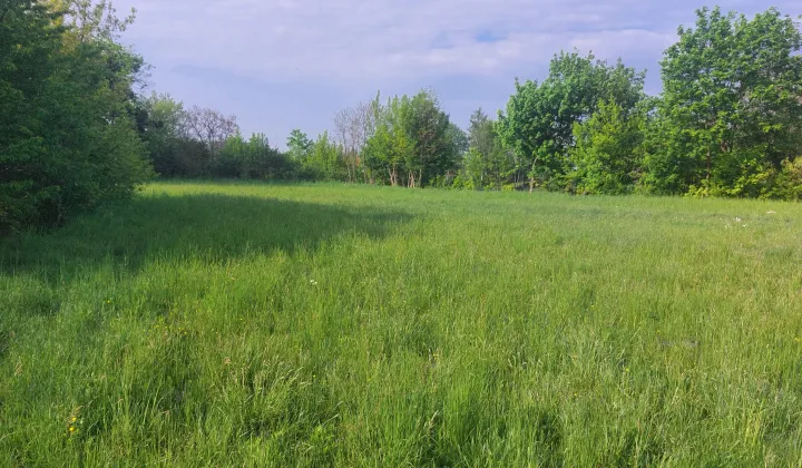 Działka budowlana Krasnystaw Góry, ul. Kickiego