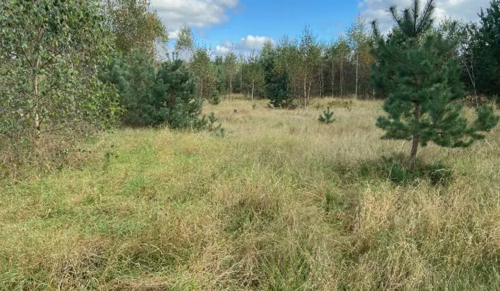 Działka inwestycyjna Bożepole Małe