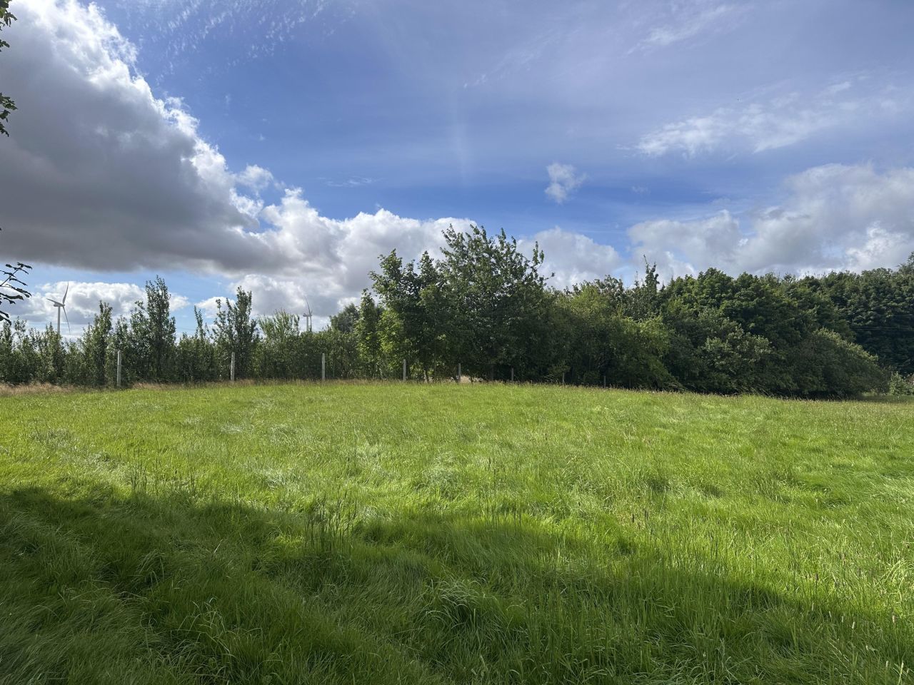 Działka budowlana Wojciechowo. Zdjęcie 2