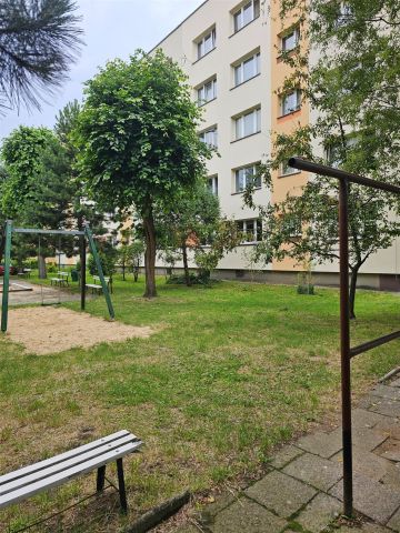 Mieszkanie 2-pokojowe Olkusz Centrum, ul. Marcina Bylicy. Zdjęcie 19