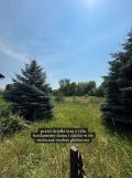 Działka rolno-budowlana Żagliny. Zdjęcie 3