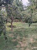 bliźniak, 5 pokoi Smardzewo. Zdjęcie 3