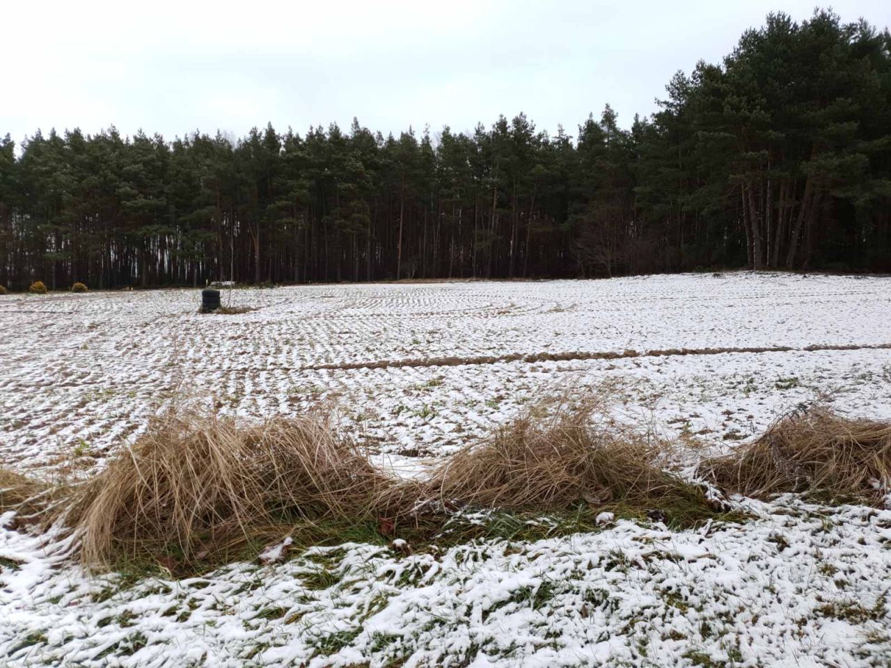 Działka budowlana Gorczeniczka. Zdjęcie 14