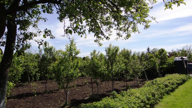 Działka rod Piła Centrum, ul. Różyckiego. Zdjęcie 1