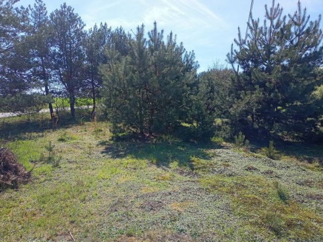 Działka budowlana Stare Wrońska. Zdjęcie 13