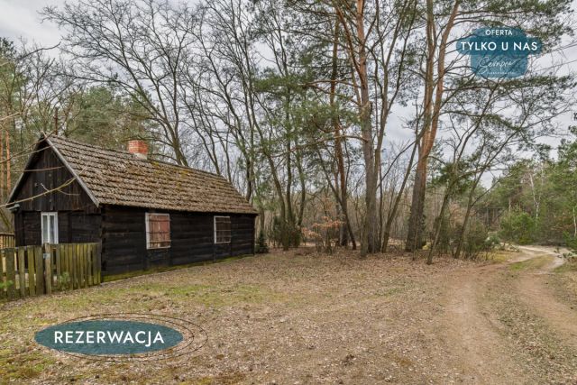 Działka leśna Kije. Zdjęcie 4