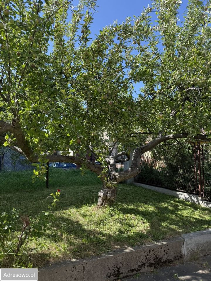 dom wolnostojący, 3 pokoje Będzin Małobądz. Zdjęcie 11