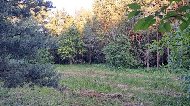 Działka budowlana Strzyżowice, ul. Ogrodowa. Zdjęcie 1