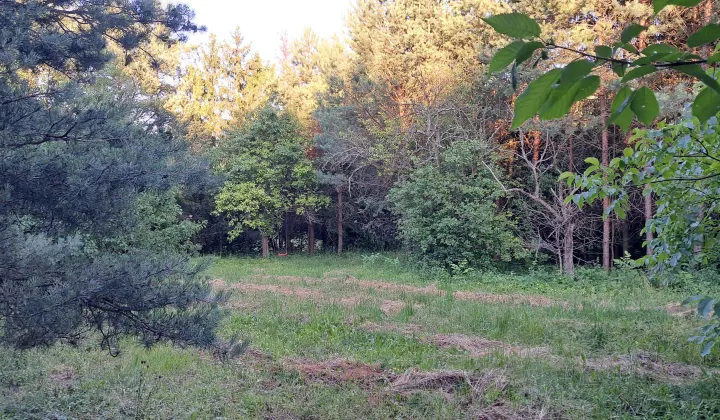 Działka budowlana Strzyżowice, ul. Ogrodowa