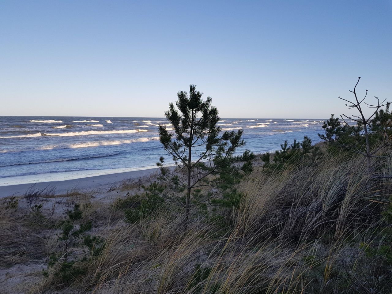 Działka budowlana Sarbsk, Sarbsk. Zdjęcie 33