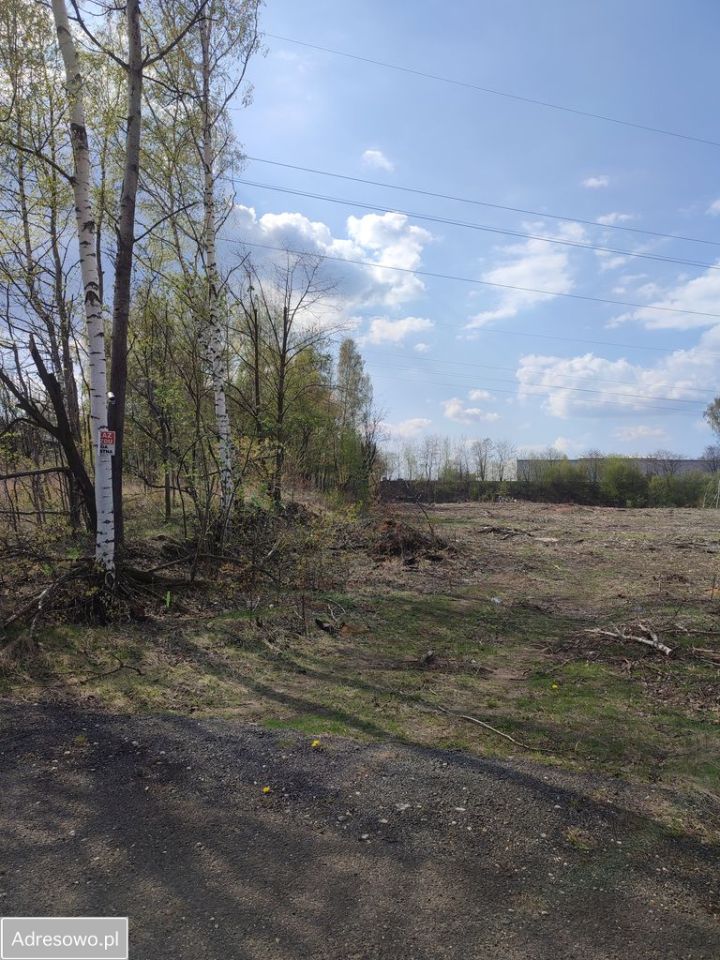 Działka inwestycyjna Rybnik Śródmieście, ul. Prosta. Zdjęcie 4