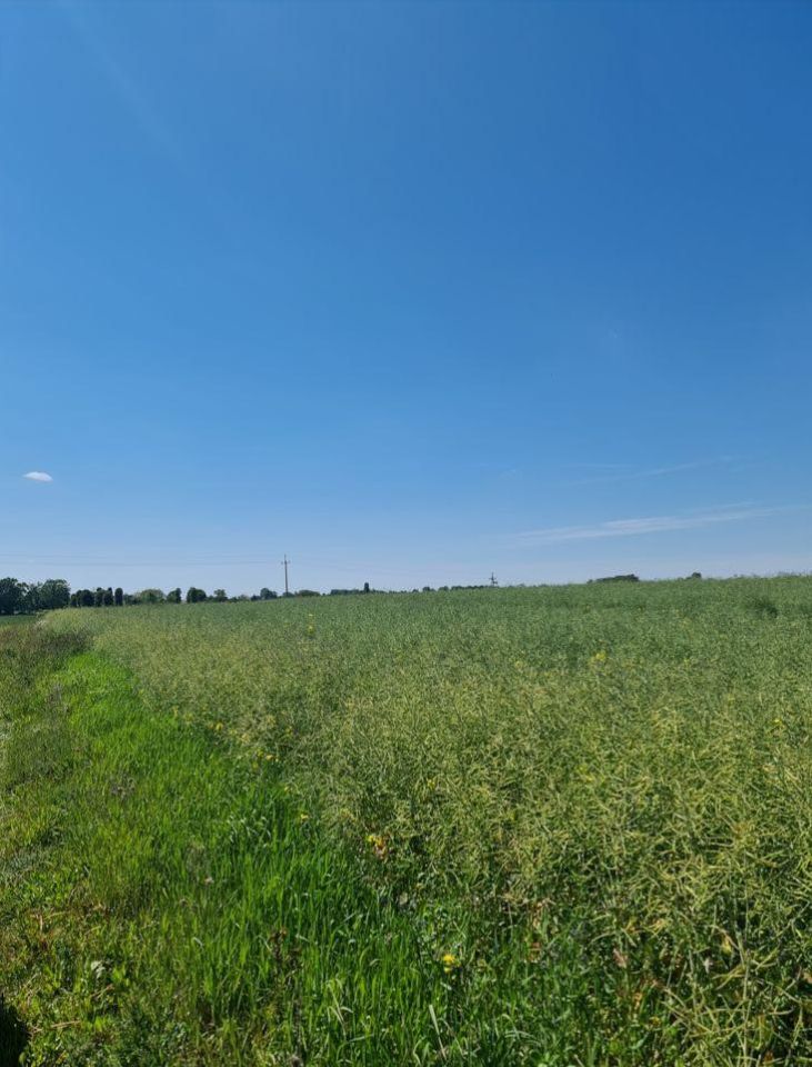 Działka budowlana Gąsawa, ul. Gustawa Mądroszyka. Zdjęcie 2