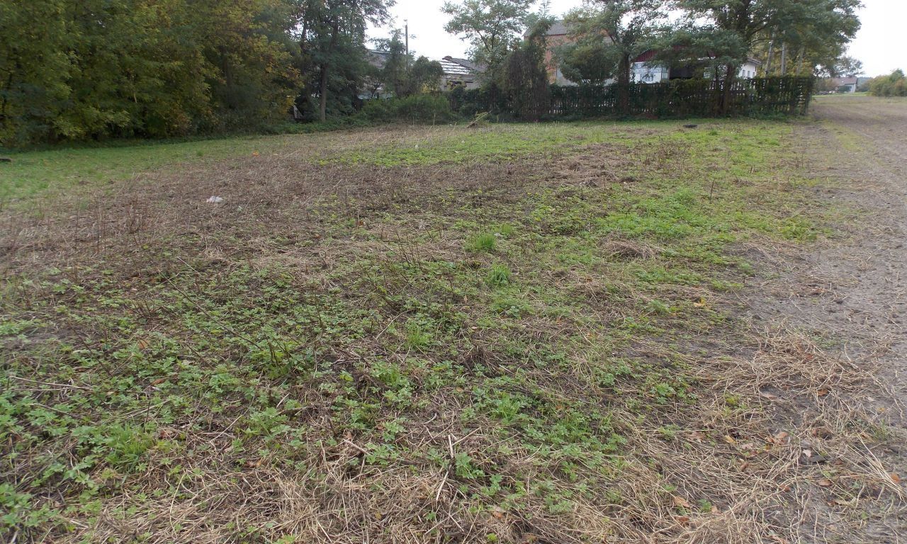 Działka inwestycyjna Nieborów, ul. Spacerowa. Zdjęcie 4