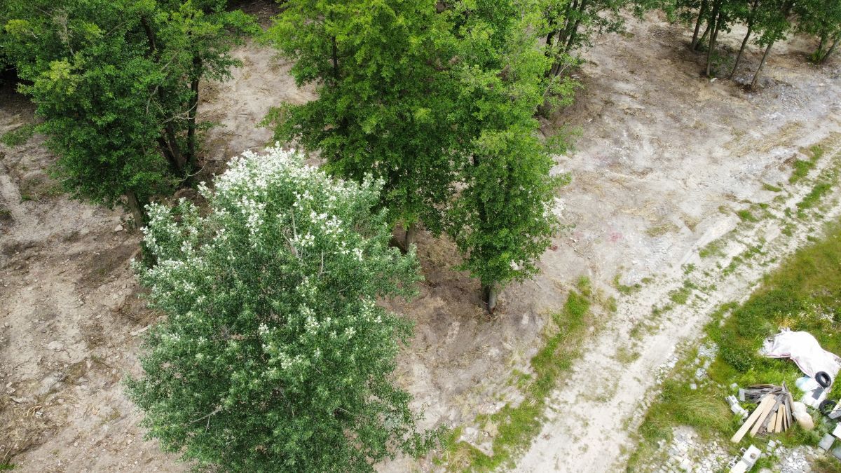 Działka budowlana Warszawa Białołęka, ul. Olesin. Zdjęcie 7