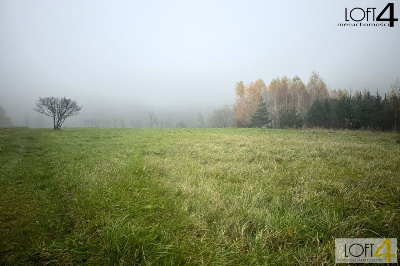 Działka budowlana Zagorzyn. Zdjęcie 8