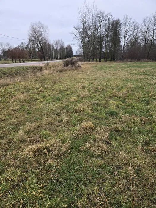 Działka budowlana Wólka