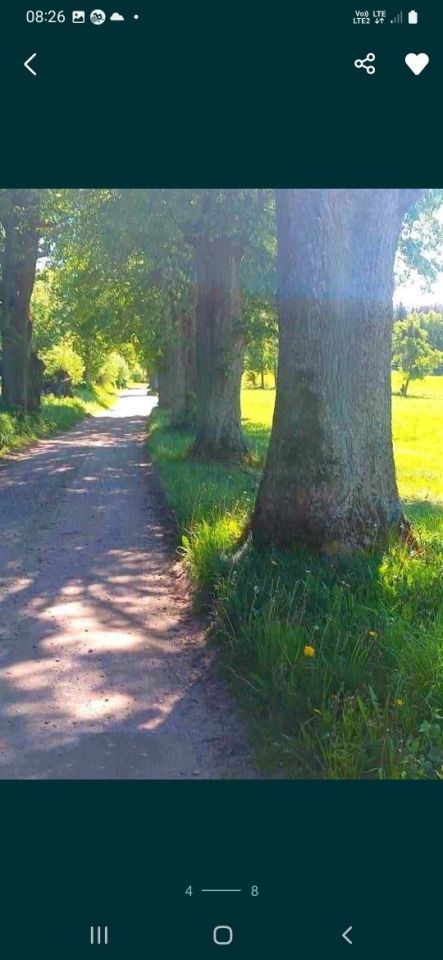 Działka rolna Karłowo. Zdjęcie 5