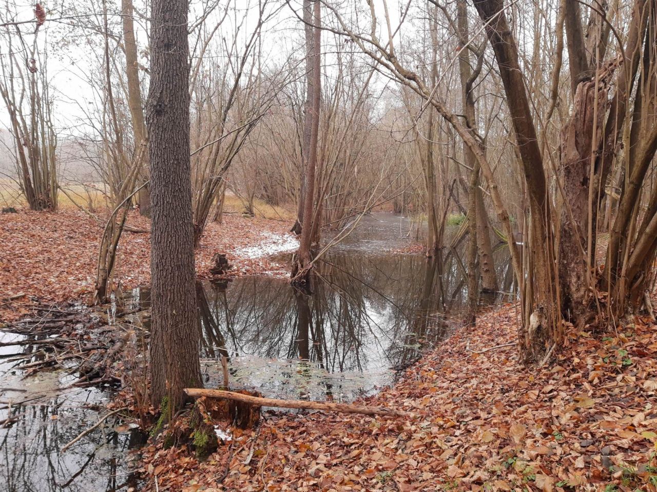 Działka budowlana Gronów. Zdjęcie 19