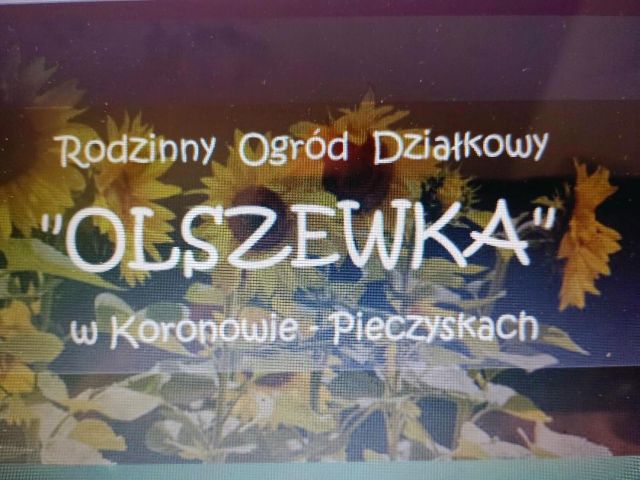 Działka rod Koronowo Pieczyska. Zdjęcie 1