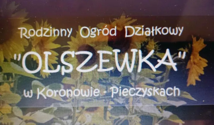 Działka rod Koronowo Pieczyska